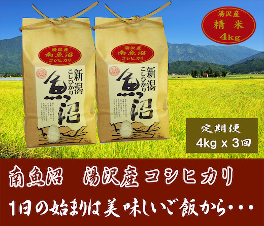 
【3ヶ月定期便】令和6年産【湯沢産コシヒカリ】＜精米＞（白米）4kg（2kg×2袋）精米したてのお米をお届け
