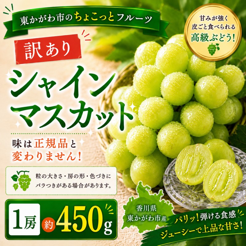 シャインマスカット 訳あり 1房 約450g ぶどう ブドウ 葡萄 種なし 皮ごと 皮ごと食べられる 不揃い 家庭用 ご家庭用 訳アリ わけあり マスカット シャイン 果物 フルーツ くだもの デザート おやつ 香川県 東かがわ市