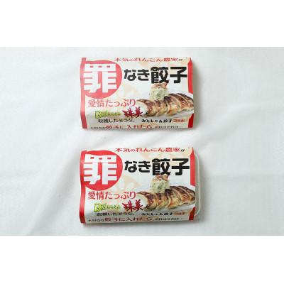 ふるさと納税 小美玉市 【最高級Bigれんこん珠美使用】冷凍罪なき餃子(20g×15個入)2パックセット |  | 02