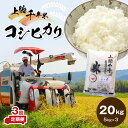 【ふるさと納税】 米 定期便 上総千年米 コシヒカリ 20kg × 3ヶ月 | 送料無料 計60kg 令和6年産 お米のソムリエが厳選 白米 精米 粒立ちが大きく 甘みもあり 粘り強い お米と雑穀の専門店 石川商店 君津 きみつ 千葉