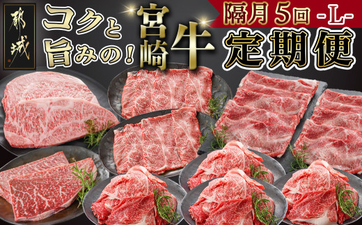 
                  コクと旨味の宮崎牛定期便 L(隔月5回)〔T110-5-6501〕_(都城市) 宮崎牛 牛うで 牛もも スライス モモステーキ ロースステーキ 切り落とし 肩ローススライス 定期便
                