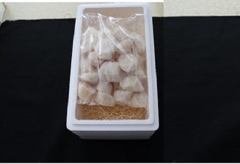 ＜12月14日決済分まで年内配送＞エゾバフンウニバラ詰め150g×1折、お刺身ホタテ貝柱500g×1P[11月下旬以降発送] E-40023