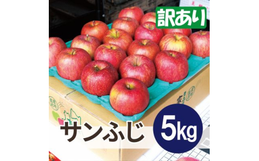 ＜26年6月より順次発送＞平均糖度13度以上! サンふじ 約5kg 訳あり  クール便【1611239】