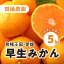 【ふるさと納税】【先行予約】【数量限定】田縁農園の早生みかん（生果）5kg ｜ 柑橘 みかん ミカン フルーツ 果物 愛媛 ※2024年12月中旬頃より順次発送予定