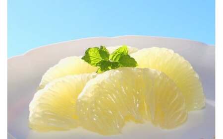 成田果樹園 の 土佐文旦 5kg 文旦 大玉 家庭用 ぶんたん [1685]