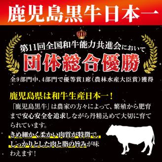 ＜敬老の日＞鹿児島黒牛黒豚セット(900g)【JA鹿児島いずみ】ja-820