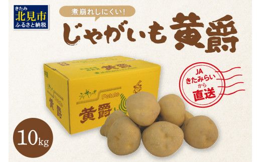 JAきたみらいから直送する新鮮じゃがいも「黄爵」10kg ( 野菜 期間限定 芋 北海道 )【104-0002-2026】