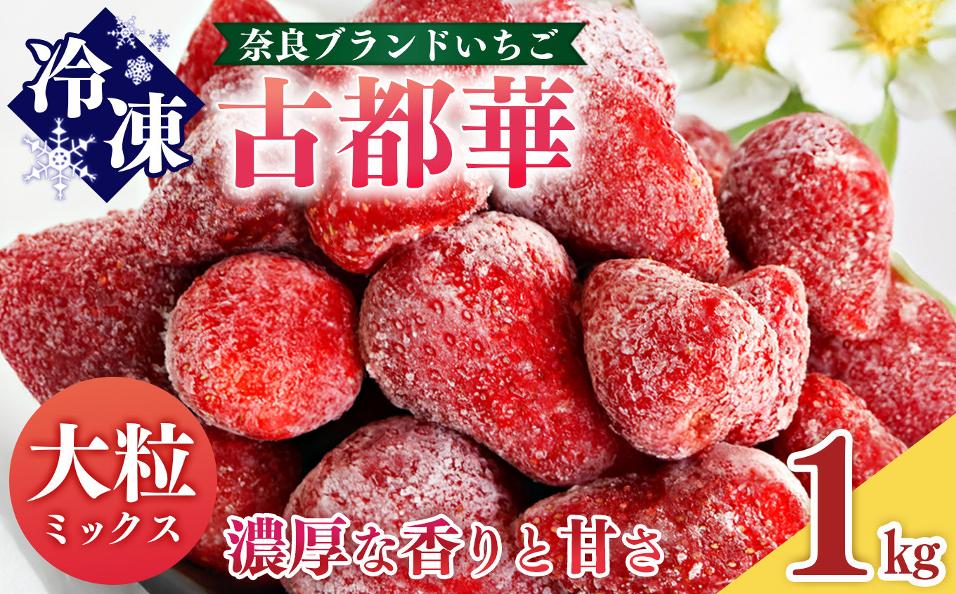
平群の古都華 冷凍いちご ミックスサイズ 1kg | フルーツ 果物 くだもの いちご 苺 イチゴ 古都華 ことか 冷凍 アイス 製菓 材料 ミックス スムージー 奈良県 平群町 扇田農園
