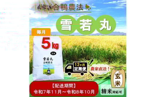 令和7年11月新米スタート【定期便12回】ecofarmすがわら合鴨農法雪若丸5kg×12回
