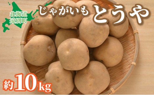 【2025年産】遠別産 じゃがいも（とうや約10㎏）※2025年9月上旬より出荷※