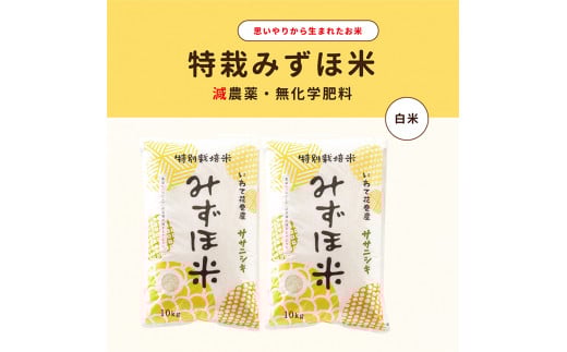 
            特別栽培みずほ米 ササニシキ 白米  20kg（10kg×2袋）【1760】
          