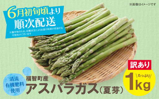 Y18-23 【訳あり】清流・有機肥料使用 アスパラガス(夏芽) 1kg 【2026年6月より順次出荷】