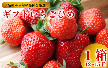 【贈答用】 いちご 12～15個 いちごひめ 3品種から1品種 さがほのか さちのか 紅ほっぺ