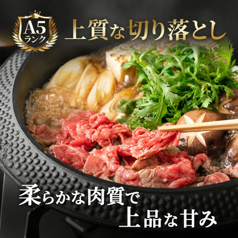 飛騨牛 牛肉 切り落とし 500g×2 計1kg 和牛