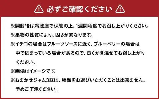 北区 つばさ工房 手作りジャム アラカルトセット （ 夏みかんのマーマレード 110g × 1瓶 おまかせジャム110g × 3瓶 ） ジャム 詰め合わせ アラカルト セット みかん いちご ブルーベ