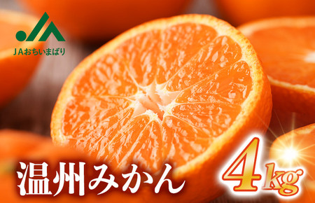 【先行予約】温州みかん4kg 愛媛県今治市