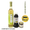 【ふるさと納税】大河原町観光物産協会　特産品Eセット　【 加工食品 調味料 梅シロップ ゆずぽん酢しょうゆ ゆずとうがらし 調味料セット 詰め合わせ 】