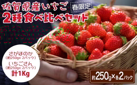 ＜先行予約受付中・令和8年3月上旬以降順次発送＞佐賀県産いちご２種食べ比べセット 計1kg（250g×各2パック）［A0176-0001］