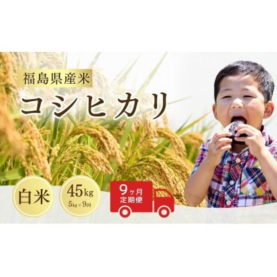 ふるさと納税 南相馬市 【先行予約】定期便 令和8年産 コシヒカリ 白米 45kg ( 5kg ×9回) |米 サムランド