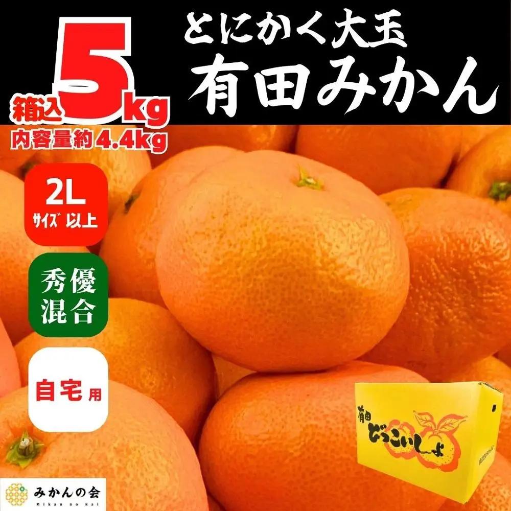 みかん 大玉 どっこいしょ 箱込 5kg ( 内容量約 4.4kg ) 2Lサイズ以上 秀品 優品 混合 有田みかん 和歌山県産 産地直送 家庭用［2026年11月中旬より順次出荷予定］