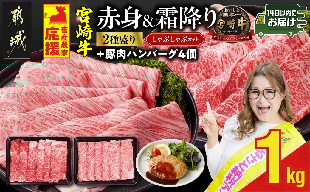 
            畜産農家応援! 宮崎牛しゃぶしゃぶ2種セット500g×2パック+豚肉ハンバーグ100g×4個≪みやこんじょ快速便≫_17-N203-R-ESH_(都城市)  1kg 赤身 霜降り 黒毛和牛 肩ロース ウデモモ しゃぶしゃぶ用 キャンペーン
          