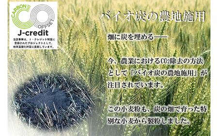 北海道下川町産強力粉はるゆたか・薄力粉きたほなみ 各1kgセット バイオ炭施用 カーボン・オフセット付 計2kg F4G-0220