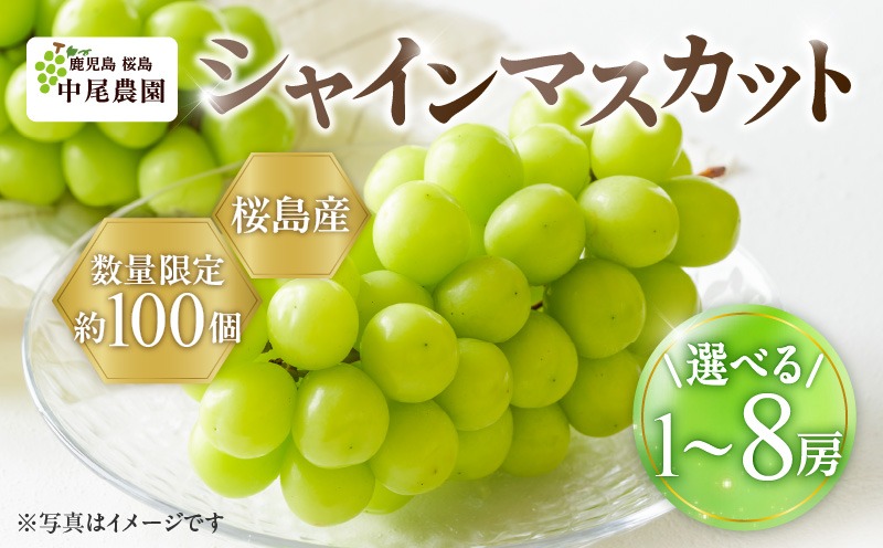 【桜島産】シャインマスカット　K261-001