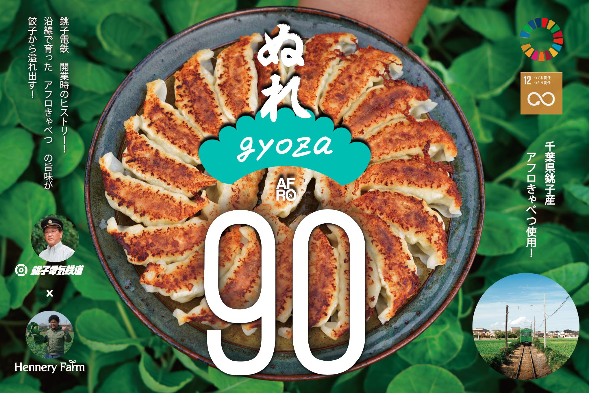 ぬれ餃子 90個（30個入り × 3袋） キャベツ 餃子 ぎょうざ 味付き 春キャベツ 銚子市 銚電 銚子電気鉄道 コラボ 千葉中華 点心 鶏肉 豚肉 野菜 おかず 小分け お手軽 パーティー バーベキュー つまみ ビール 味付き 春キャベツ 銚子 お取り寄せ 送料無料 千葉県 銚子市 Hennery Farm 株式会社くるくるやっほー