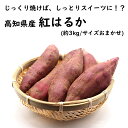 【ふるさと納税】高知県産　紅はるか　約3kg　特産品【※11月下旬頃から発送】