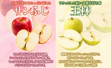 りんご 【3月発送】糖度13度～ 家庭用 サンふじ 王林 約10kg　リンゴ 林檎 青森りんご 糖度 13度 甘い 酸味 デザート フルーツ 果物 お取り寄せ 産地直送 旬 季節限定 弘果物流 青森県