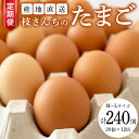 【ふるさと納税】【12ヶ月定期便】枝さんち の たまご 20個×12回 合計240個 定期便 産地直送 たまご 玉子 生卵 鶏卵 タマゴ 平飼い 桜川市産 茨城県産 卵 非遺伝子組換え