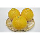 【ふるさと納税】小豆島 ハウスデコポン 約5kg　みかん・柑橘類・デコポン・果物類・フルーツ　お届け：2025年2月上旬～2025年2月中旬