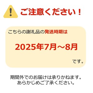 【2025年7月～8月発送分先行受付】伊佐沢フルーツ倶楽部の大玉すいか2玉_H099(R7)