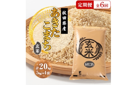 ＜毎月定期便＞あきたこまち 玄米 20kg(5kg×4袋)全6回【4080848】