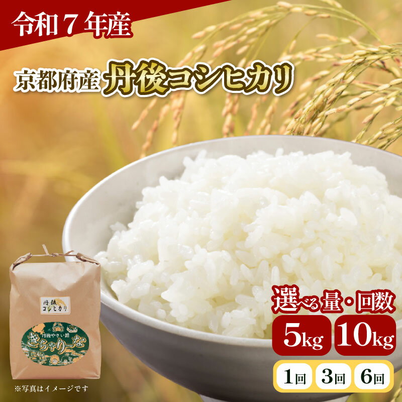 【ふるさと納税】 令和7年産 丹後コシヒカリ 5kg 10kg 選べる 容量 回数 単品 / 定期便 3回 / 6回 （米 こめ 白米 国産 ブランド米 取り寄せ 京都 ごはん コシヒカリ 2025年度 3ヶ月 6ヶ月 3か月 6ヶ月 JA JA京都 京都府産 京都府