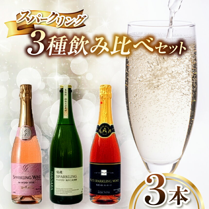 【ふるさと納税】特別な日の乾杯を塩尻で。スパークリング飲み比べ3本セット | ワイン わいん ワイン スパークリングワイン お酒 おさけ 酒 さけ メルロ ロゼ ナイアガラ コンコード 五一わいん 林農園 アルプス 信濃ワイン 塩尻市 長野県 信州