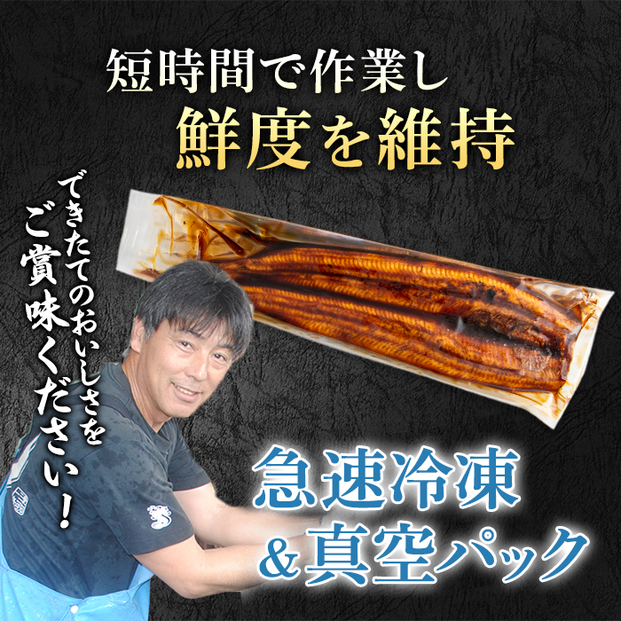 【0124326a-2510】＜10月上旬発送予定＞東串良町のうなぎ蒲焼(無頭)(2尾・計約300g・タレ、山椒付) うなぎ 高級 ウナギ 鰻 国産 蒲焼 蒲焼き たれ 鹿児島 ふるさと 人気【アクア