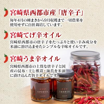 ふるさと納税 西都市 農家直送新鮮野菜と『うま辛&てげ辛オイル』セット【先行受付】[2609] |  | 03