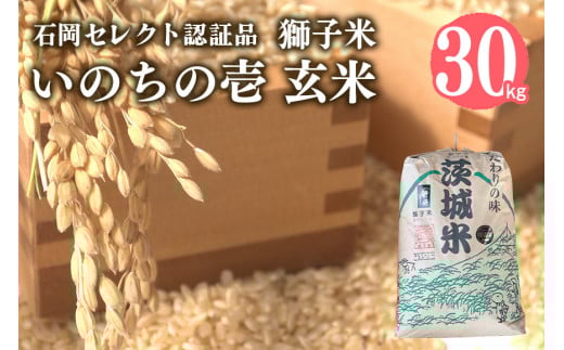 【令和6年産】獅子米 いのちの壱 玄米 30kg 岡田ファーム コンテスト受賞米 お米 米 おこめ ブランド米 30キロ 国産 単一原料米 コメ こめ ご飯 銘柄米 茨城県産 茨城 産直 産地直送 農家直送 ごはん 家庭用 贈答用 お取り寄せ 茨城県 石岡市 (B02-020)
