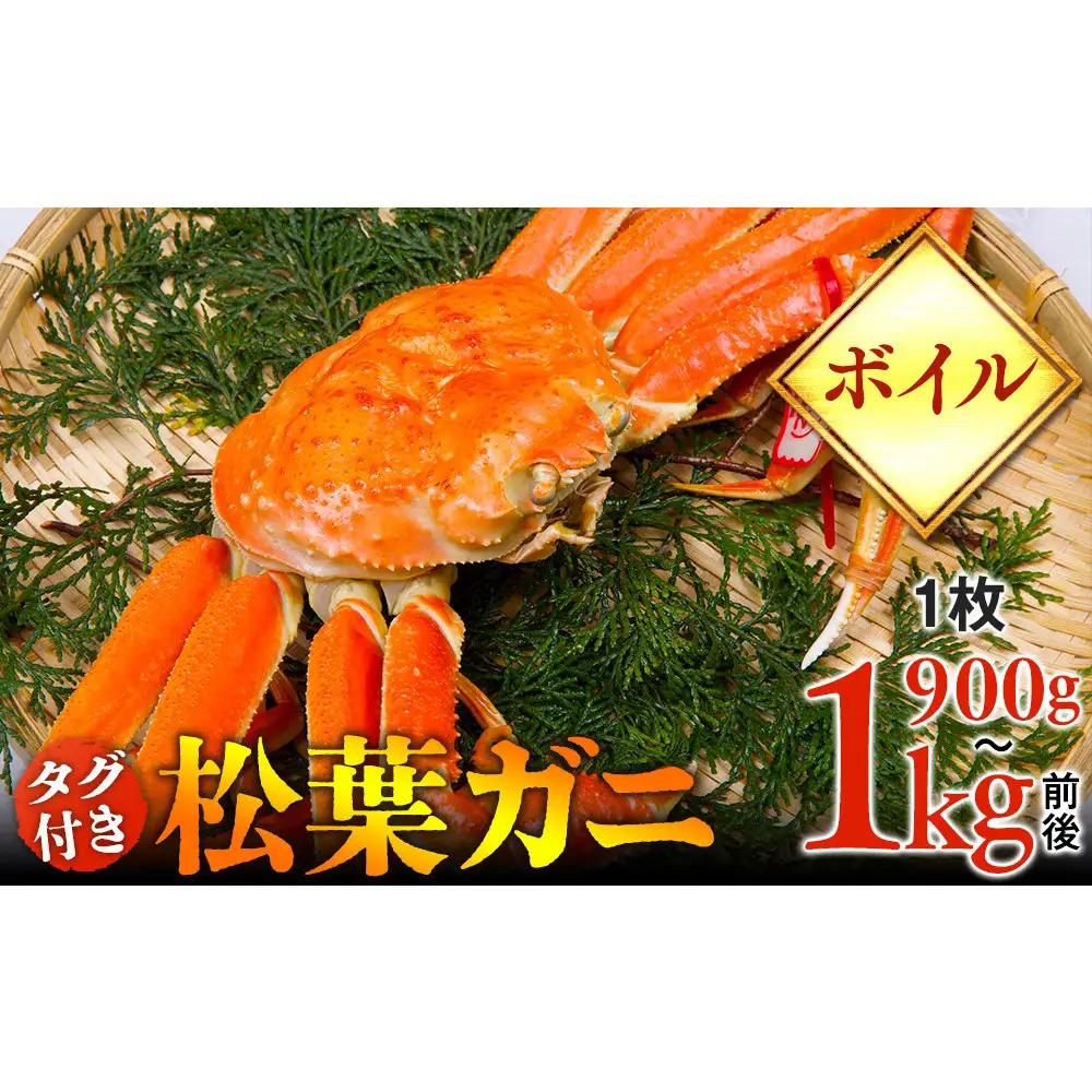 【ボイル】タグ付き 松葉ガニ  特大1枚（900g～1kg前後）  | 松葉 カニ 訳あり活 特大 美味しさに 訳あり 不揃い でないたっぷり 【着日指定不可】　※2026年11月上旬～2027年3月下旬頃に順次発送予定