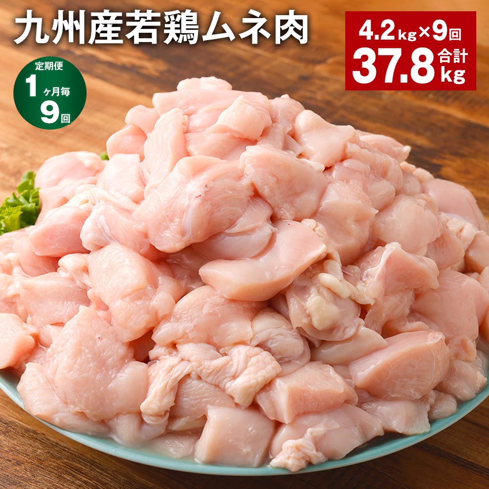【ふるさと納税】【定期便】【1ヶ月毎9回】九州産若鶏ムネ肉 600g×7袋 計37.8kg（4.2kg×9回） 鶏肉 お肉 ムネ肉 むね肉 小分け 冷凍 九州産 国産 熊本県 菊池市 送料無料《お申し込みの翌月から出荷》