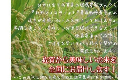 《マイスターセレクト》さがびより【白米】5kg【特A評価】 B563
