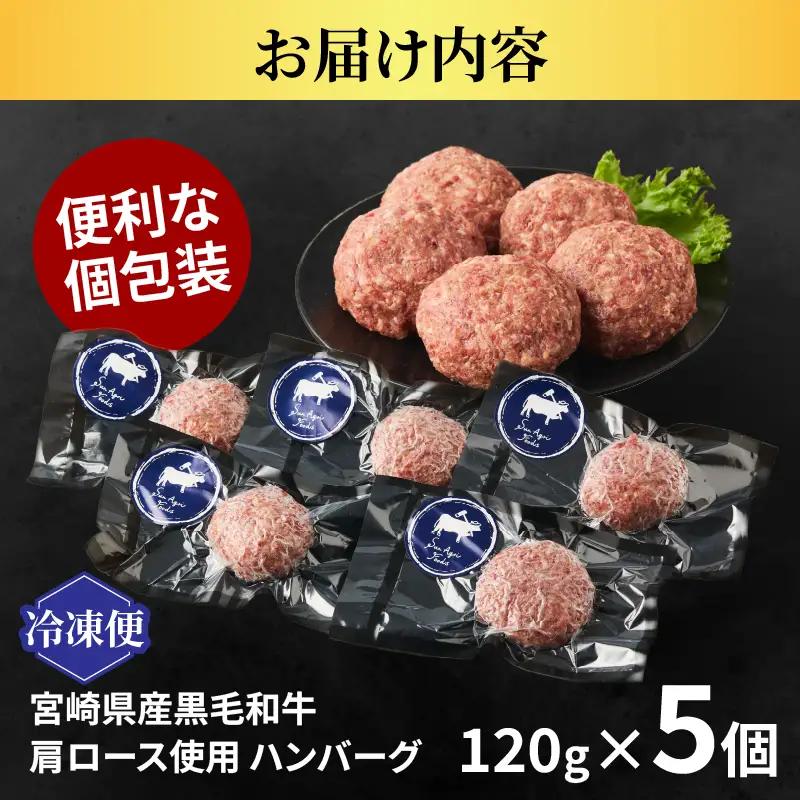 ≪手作り!!≫宮崎県産黒毛和牛肩ロース100%★ハンバーグ(計5個) 肉 牛肉 加工品 惣菜 国産_T025-0495