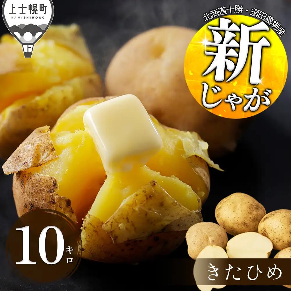 2026年産 先行予約 北海道産 新じゃが じゃがいも きたひめ 10kg 北海道 上士幌町 須田農場 野菜 ジャガイモ 馬鈴薯 産地直送 ◆2026年9月中旬発送開始予定