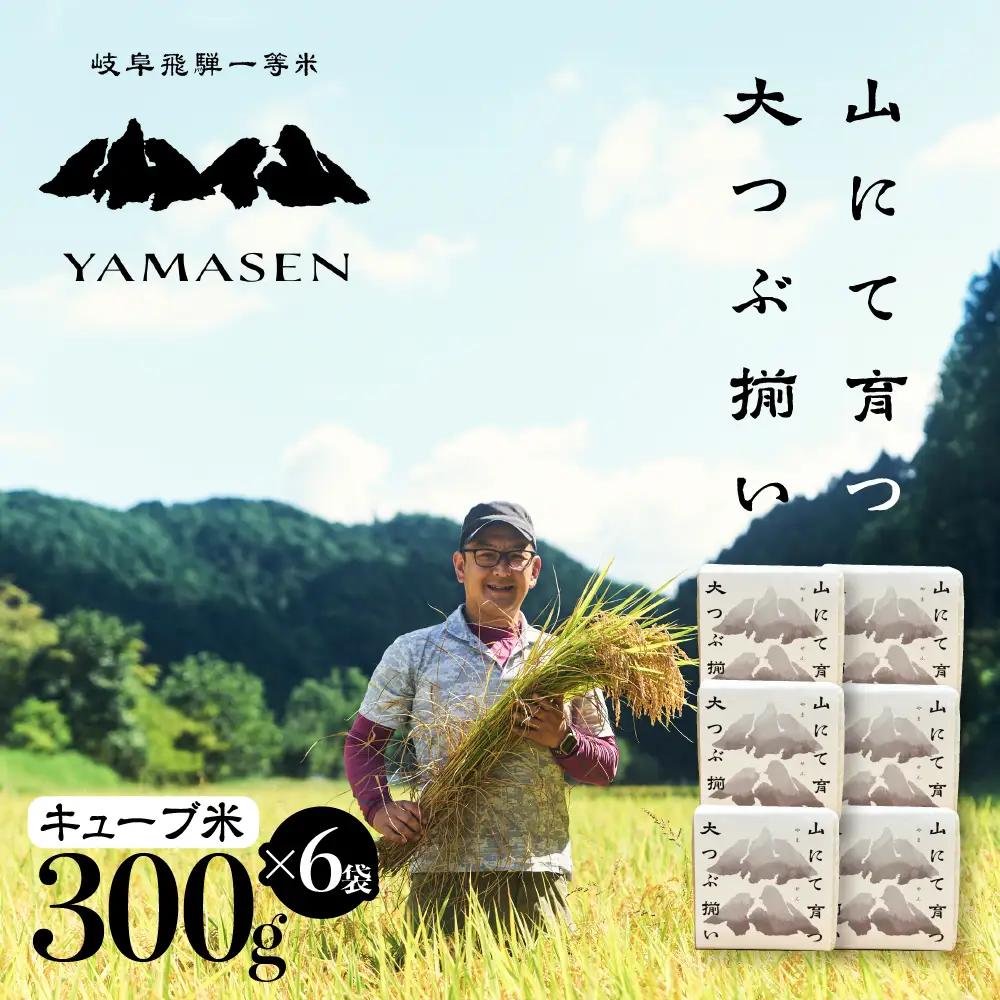 新米予約受付【令和7年産米】すがたらいす 山仙 (いのちの壱) キューブ米 6個 （1個 300g（2合））真空包装 プチギフト ギフト 小分け お裾分け 下呂市金山産 2025年産 お米 精米 米 いのちのいち やません ブランド米 有限会社 すがたらいす【51-23】
