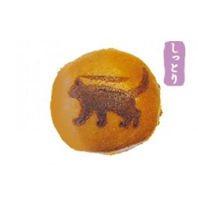 ふるさと納税 茅野市 しっかり焼き上げた香ばしいどら焼き 10個