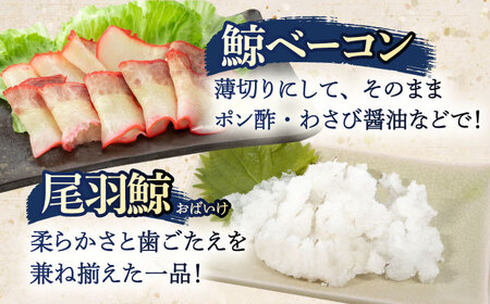 くじら肉 3種食べ比べセット 300g(鯨ベーコン・さえずり・尾羽 各100g)[OBR001]