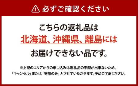 [HS]【定期便 全2回】ぶどう シャイン マスカット 晴王 1房 約600g【2026年9月上旬～10月下旬発送】【ブドウ 葡萄  岡山県産 国産 フルーツ 果物 ギフト】