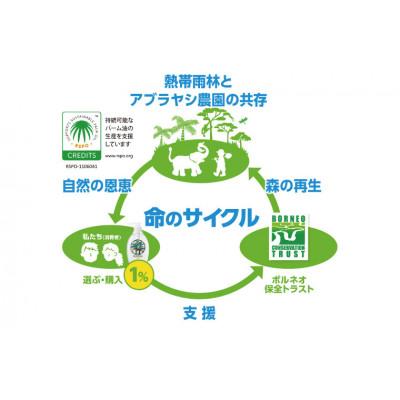 ふるさと納税 北茨城市 ヤシノミ洗剤　詰替用1000ml8本(AP102) |  | 01