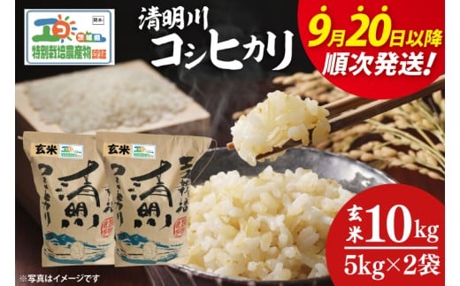 【令和7年9月20日以降順次発送】【先行予約】新米令和7年産 茨城県特別栽培認証 清明川コシヒカリ玄米 5㎏×2袋【米 おこめ こしひかり  特別栽培米 農家直送 直送 茨城県 阿見町】（04-20-